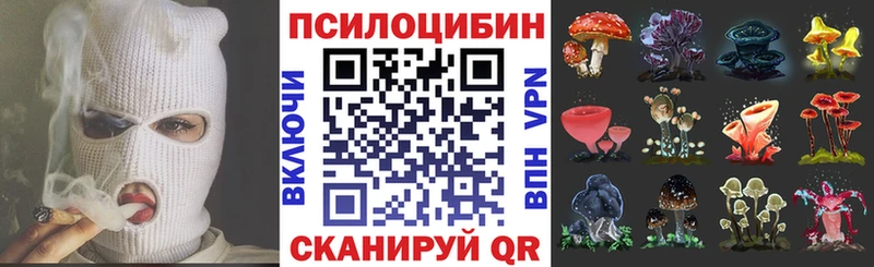 Псилоцибиновые грибы мицелий  Цоци-Юрт 