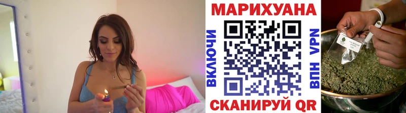 Каннабис сатива ссылка на мегу ССЫЛКА Цоци-Юрт